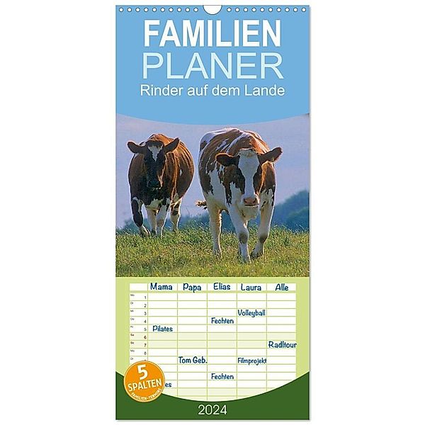 Familienplaner 2024 - Rinder auf dem Lande mit 5 Spalten (Wandkalender, 21 x 45 cm) CALVENDO, Bildagentur Geduldig