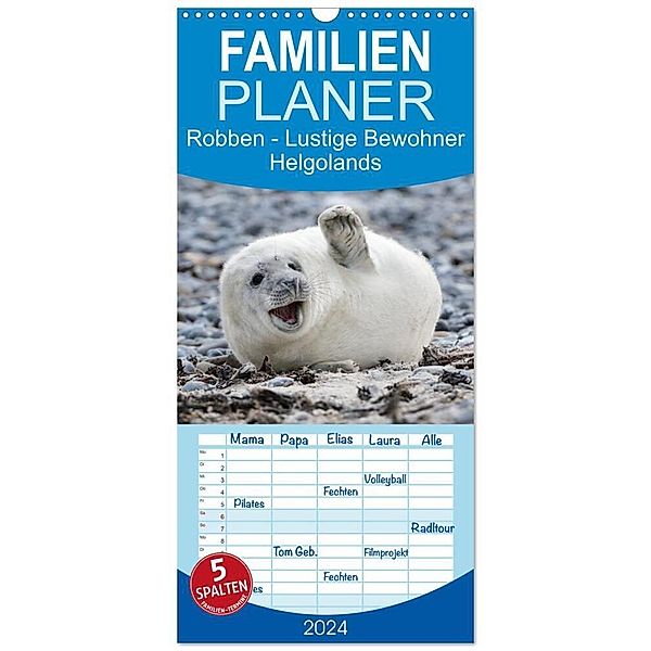 Familienplaner 2024 - Robben - Lustige Bewohner Helgolands mit 5 Spalten (Wandkalender, 21 x 45 cm) CALVENDO, Egid Orth
