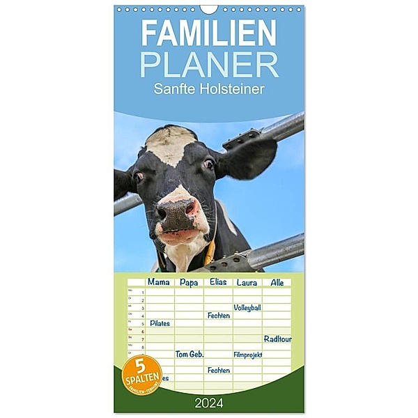 Familienplaner 2024 - Sanfte Holsteiner mit 5 Spalten (Wandkalender, 21 x 45 cm) CALVENDO, Jana JF Führer