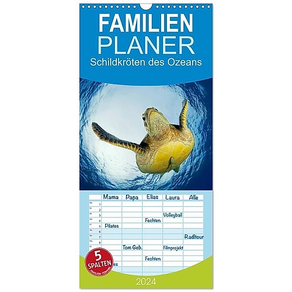 Familienplaner 2024 - Schildkröten des Ozeans mit 5 Spalten (Wandkalender, 21 x 45 cm) CALVENDO, Henry Jager