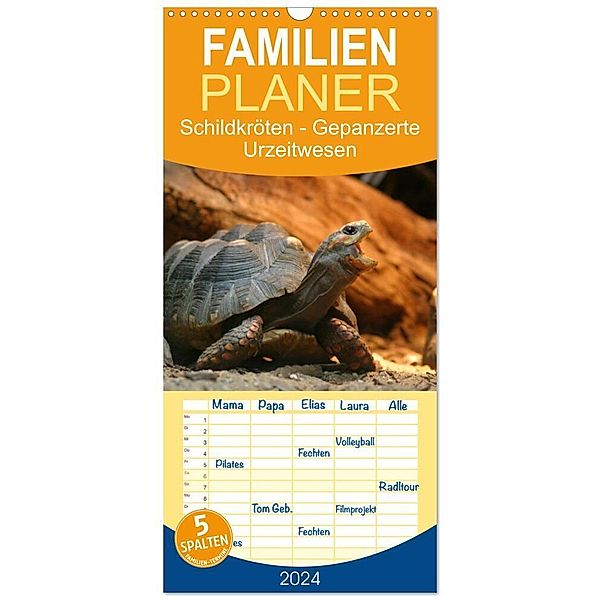 Familienplaner 2024 - Schildkröten - Gepanzerte Urzeitwesen mit 5 Spalten (Wandkalender, 21 x 45 cm) CALVENDO, Barbara Mielewczyk