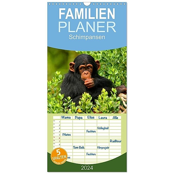 Familienplaner 2024 - Schimpansen mit 5 Spalten (Wandkalender, 21 x 45 cm) CALVENDO, Elisabeth Stanzer