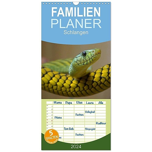 Familienplaner 2024 - Schlangen mit 5 Spalten (Wandkalender, 21 x 45 cm) CALVENDO, Elisabeth Stanzer