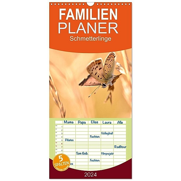 Familienplaner 2024 - Schmetterlinge. Schimmernde Zauberwesen mit 5 Spalten (Wandkalender, 21 x 45 cm) CALVENDO, Aneta Zofia Brinker