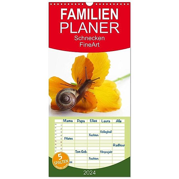 Familienplaner 2024 - Schnecken FineArt mit 5 Spalten (Wandkalender, 21 x 45 cm) CALVENDO, Tanja Riedel