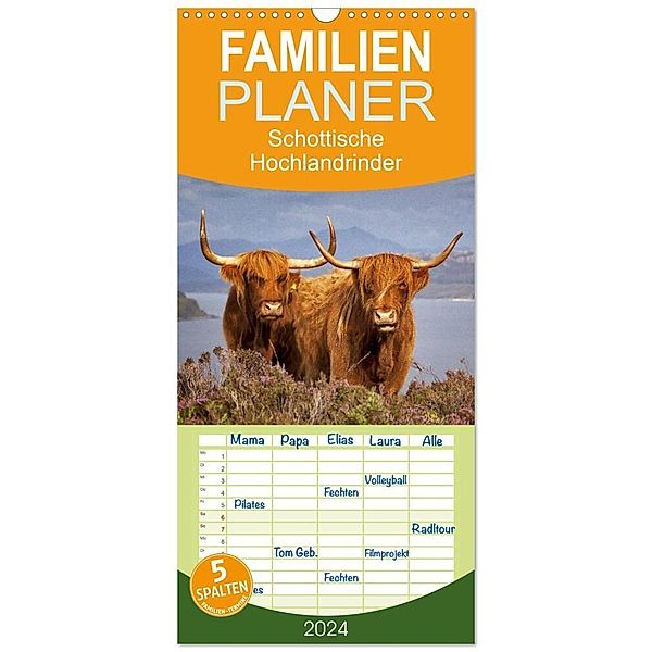 Familienplaner 2024 - Schottische Hochlandrinder. Freundlich, schön und robust mit 5 Spalten (Wandkalender, 21 x 45 cm) CALVENDO, Elisabeth Stanzer