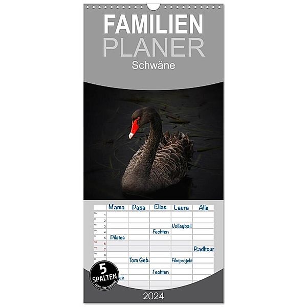 Familienplaner 2024 - Schwäne mit 5 Spalten (Wandkalender, 21 x 45 cm) CALVENDO, Elisabeth Stanzer