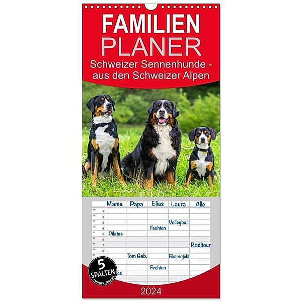 Familienplaner 2024 - Schweizer Sennenhunde - aus den Schweizer Alpen mit 5 Spalten (Wandkalender, 21 x 45 cm) CALVENDO, Sigrid Starick