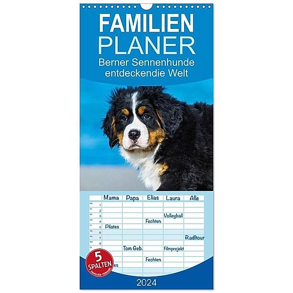 Familienplaner 2024 - Seebärchen entdecken die Welt - Berner Sennenhunde mit 5 Spalten (Wandkalender, 21 x 45 cm) CALVENDO, Sigrid Starick