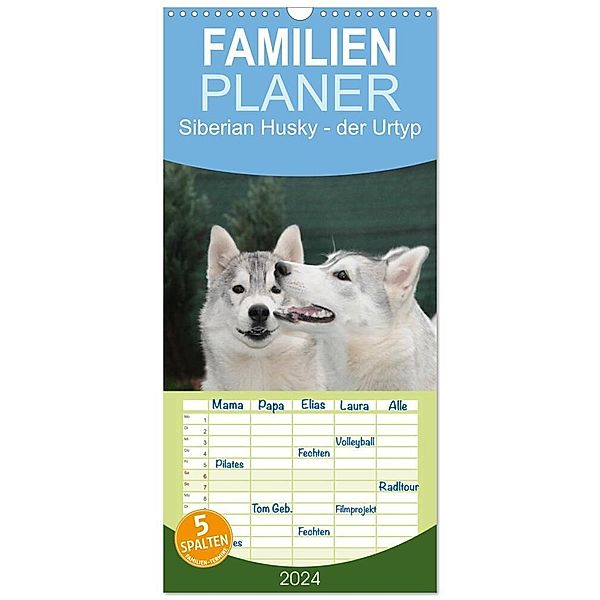 Familienplaner 2024 - Siberian Husky - der Urtyp mit 5 Spalten (Wandkalender, 21 x 45 cm) CALVENDO, Michael Ebardt