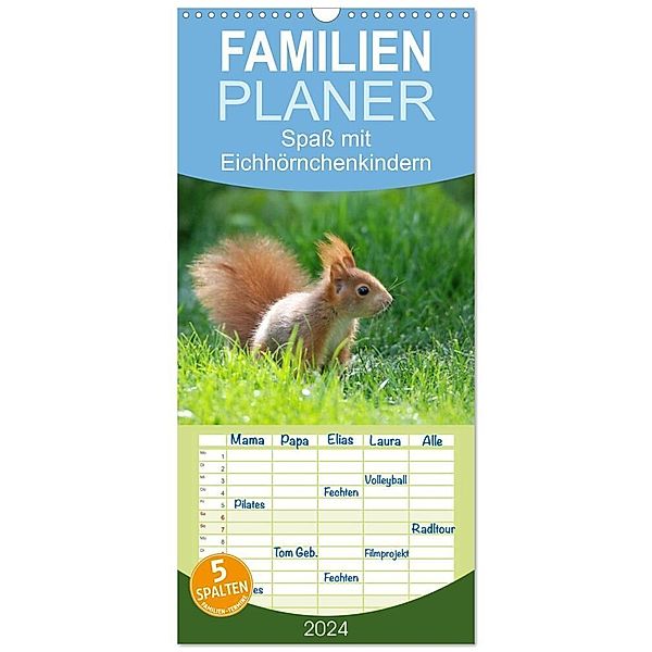 Familienplaner 2024 - Spass mit Eichhörnchen-Kindern mit 5 Spalten (Wandkalender, 21 x 45 cm) CALVENDO, Heike Adam