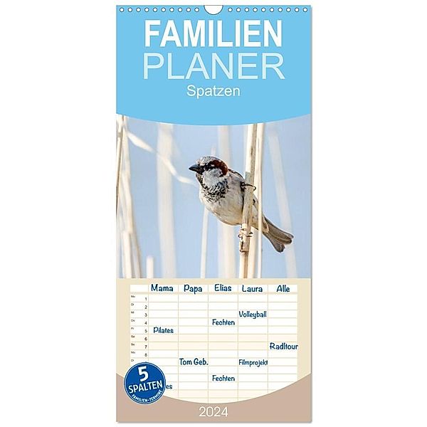 Familienplaner 2024 - Spatzen mit 5 Spalten (Wandkalender, 21 x 45 cm) CALVENDO, Marianne Drews