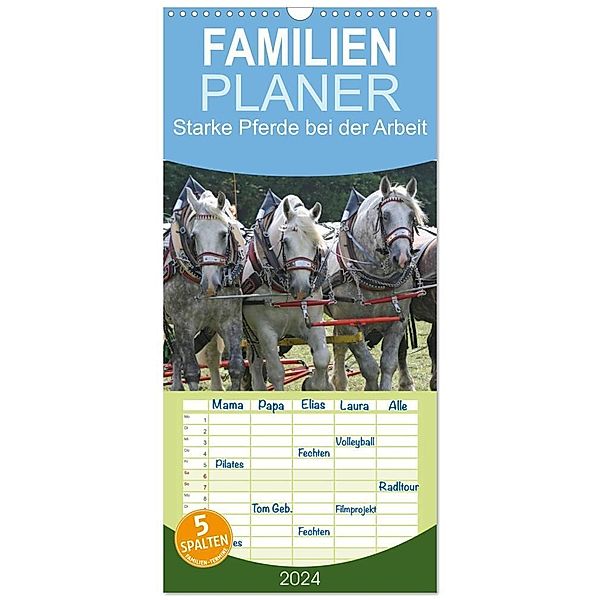 Familienplaner 2024 - Starke Pferde bei der Arbeit mit 5 Spalten (Wandkalender, 21 x 45 cm) CALVENDO, Antje Lindert-Rottke
