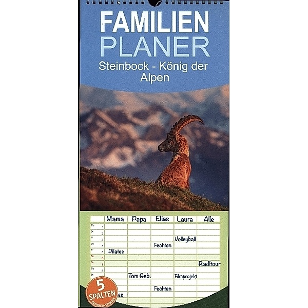 Familienplaner 2024 - Steinbock - König der Alpen mit 5 Spalten (Wandkalender, 21 x 45 cm) CALVENDO, David Oberholzer - www.davidoberholzer.ch
