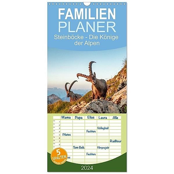 Familienplaner 2024 - Steinböcke - Die Könige der Alpen mit 5 Spalten (Wandkalender, 21 x 45 cm) CALVENDO, Michaela Kramer