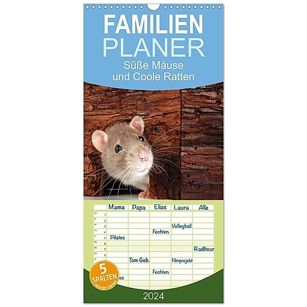 Familienplaner 2024 - Süße Mäuse und Coole Ratten mit 5 Spalten (Wandkalender, 21 x 45 cm) CALVENDO, Klaus Eppele