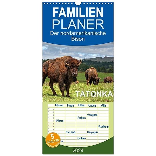 Familienplaner 2024 - TATONKA Der nordamerikanische Bison mit 5 Spalten (Wandkalender, 21 x 45 cm) CALVENDO, Dieter-M. Wilczek