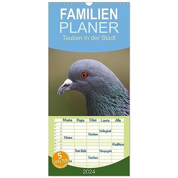 Familienplaner 2024 - Tauben in der Stadt mit 5 Spalten (Wandkalender, 21 x 45 cm) CALVENDO, Kattobello