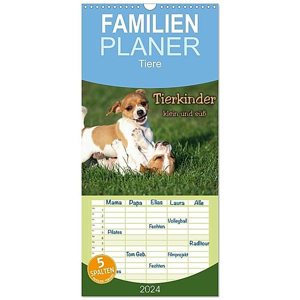 Familienplaner 2024 - Tierkinder klein und süss mit 5 Spalten (Wandkalender, 21 x 45 cm) CALVENDO, Berit Seiboth