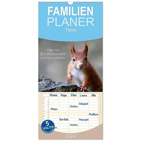 Familienplaner 2024 - Tipps von Eichhörnchen an Eichhörnchenliebhaber mit 5 Spalten (Wandkalender, 21 x 45 cm) CALVENDO, Birgit Cerny