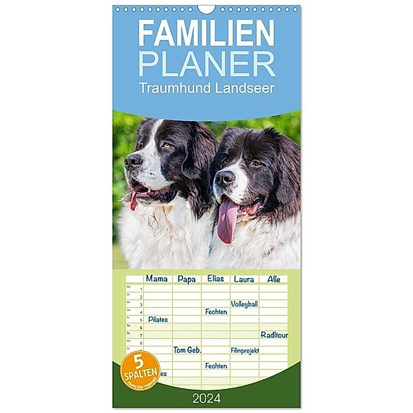 Familienplaner 2024 - Traumhund Landseer mit 5 Spalten (Wandkalender, 21 x 45 cm) CALVENDO, Sigrid Starick