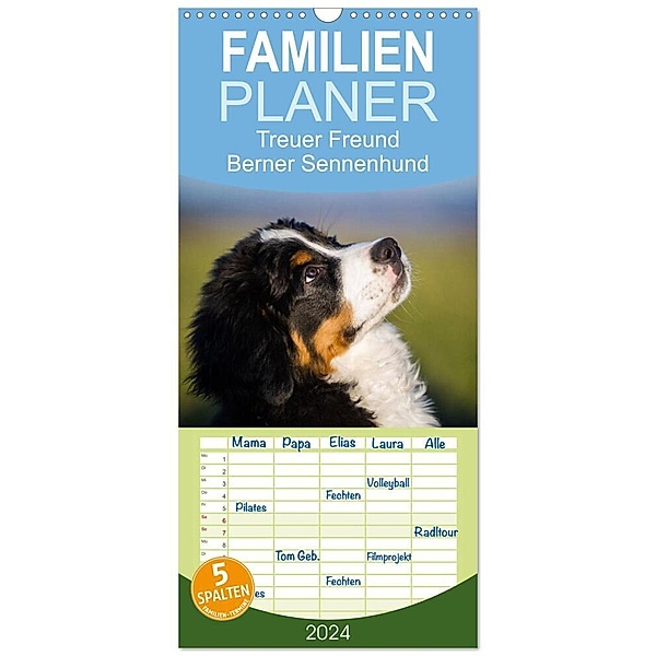 Familienplaner 2024 - Treuer Freund Berner Sennenhund mit 5 Spalten (Wandkalender, 21 x 45 cm) CALVENDO, Sigrid Starick