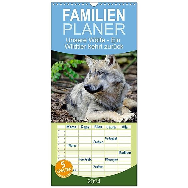 Familienplaner 2024 - Unsere Wölfe - Ein Wildtier kehrt zurück mit 5 Spalten (Wandkalender, 21 x 45 cm) CALVENDO, Angela Rohde