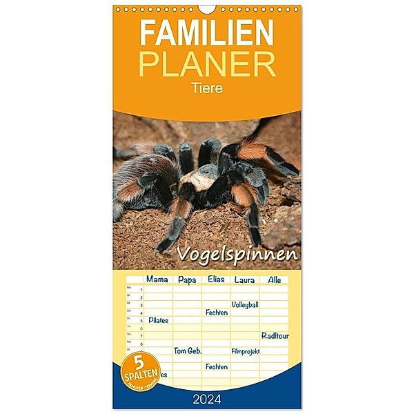 Familienplaner 2024 - Vogelspinnen mit 5 Spalten (Wandkalender, 21 x 45 cm) CALVENDO, Barbara Mielewczyk
