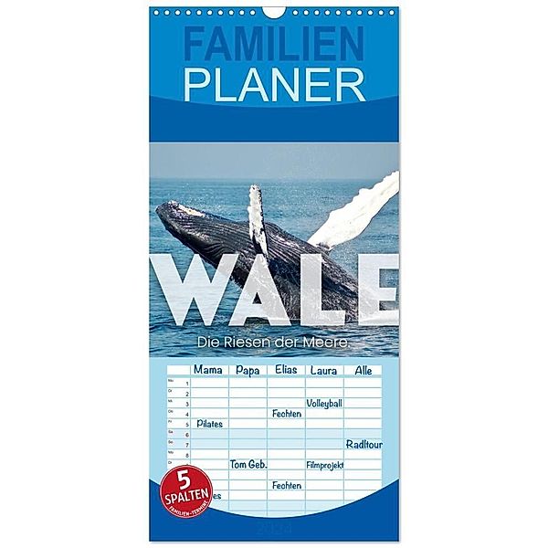 Familienplaner 2024 - Wale - Die Riesen der Meere. mit 5 Spalten (Wandkalender, 21 x 45 cm) CALVENDO, SF