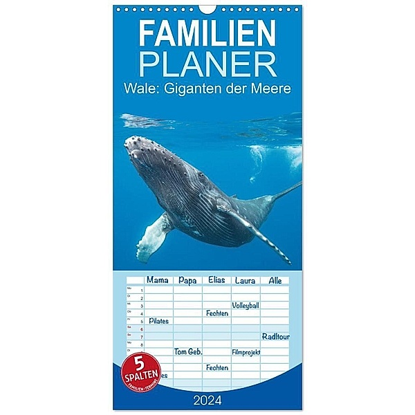Familienplaner 2024 - Wale: Giganten der Meere mit 5 Spalten (Wandkalender, 21 x 45 cm) CALVENDO, Calvendo