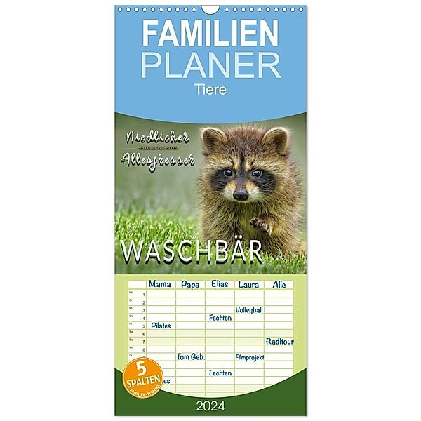 Familienplaner 2024 - Waschbär - Niedlicher Allesfresser mit 5 Spalten (Wandkalender, 21 x 45 cm) CALVENDO, Peter Roder