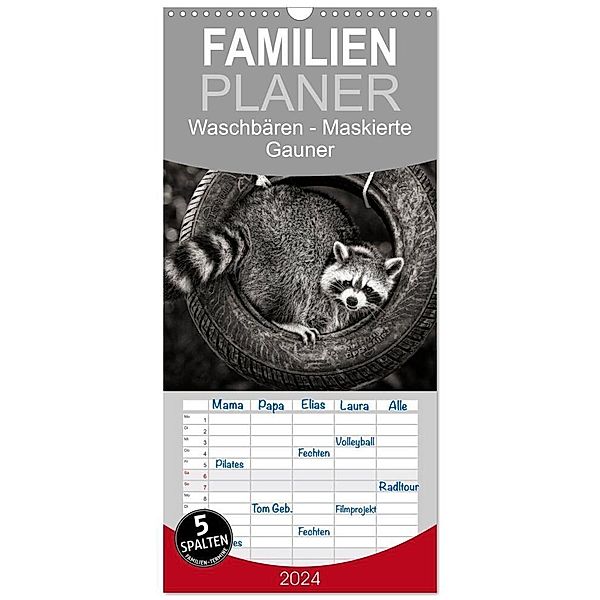 Familienplaner 2024 - Waschbären - Maskierte Gauner mit 5 Spalten (Wandkalender, 21 x 45 cm) CALVENDO, Klaus-Peter Selzer