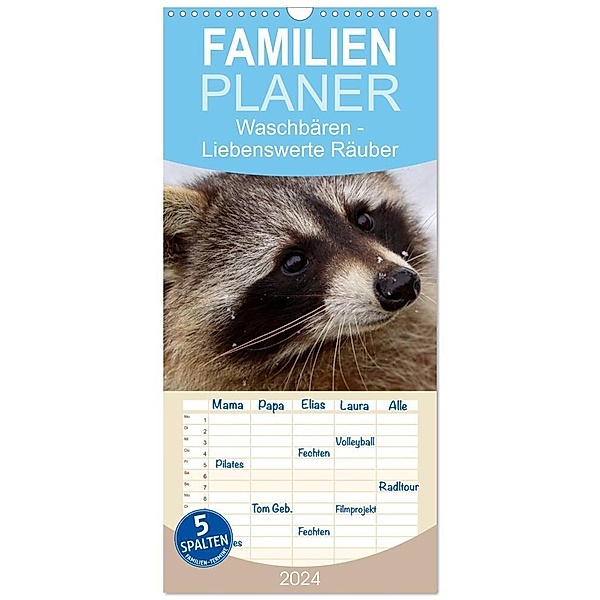 Familienplaner 2024 - Waschbären mit 5 Spalten (Wandkalender, 21 x 45 cm) CALVENDO, Martina Berg