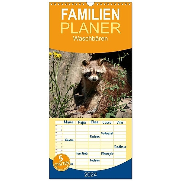 Familienplaner 2024 - Waschbären mit 5 Spalten (Wandkalender, 21 x 45 cm) CALVENDO, Antje Lindert-Rottke