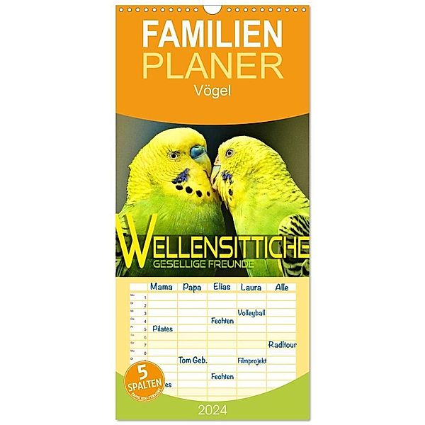 Familienplaner 2024 - Wellensittiche - gesellige Freunde mit 5 Spalten (Wandkalender, 21 x 45 cm) CALVENDO, Renate Utz