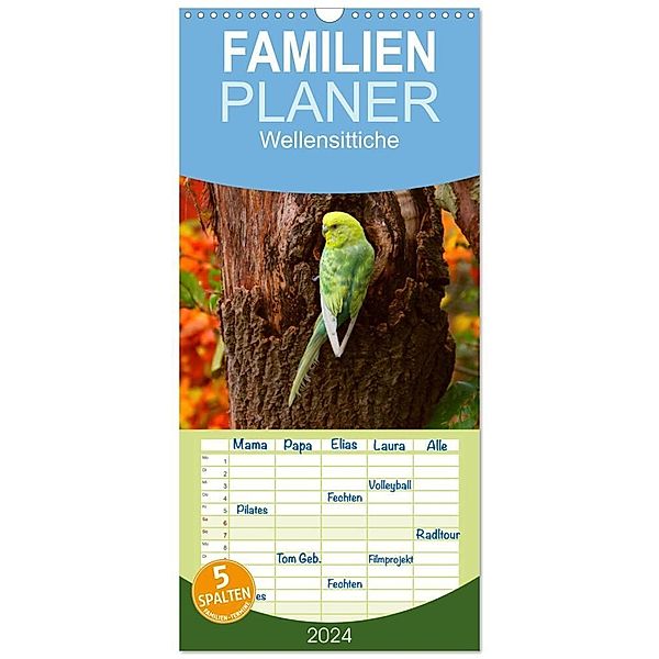 Familienplaner 2024 - Wellensittiche mit 5 Spalten (Wandkalender, 21 x 45 cm) CALVENDO, Björn Bergmann