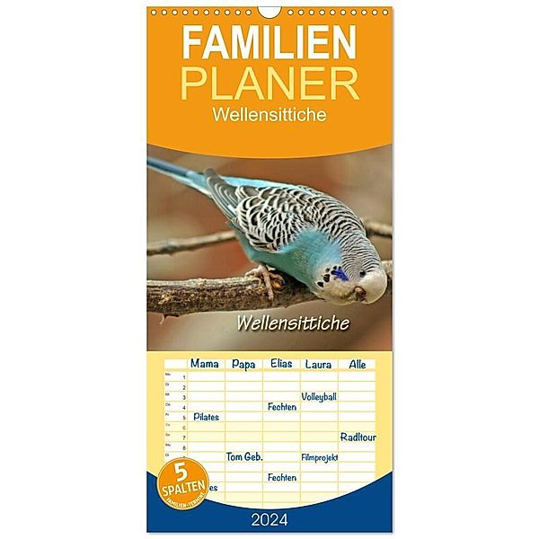 Familienplaner 2024 - Wellensittiche mit 5 Spalten (Wandkalender, 21 x 45 cm) CALVENDO, Barbara Mielewczyk