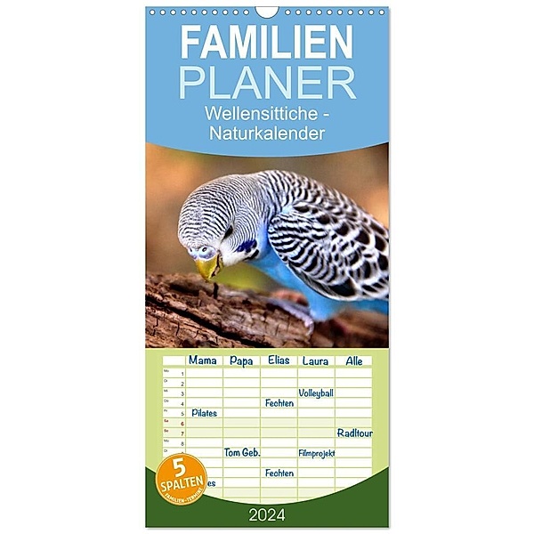 Familienplaner 2024 - Wellensittiche - Naturkalender mit 5 Spalten (Wandkalender, 21 x 45 cm) CALVENDO, Björn Bergmann