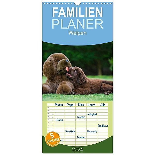 Familienplaner 2024 - Welpen 2024 mit 5 Spalten (Wandkalender, 21 x 45 cm) CALVENDO, Sigrid Starick