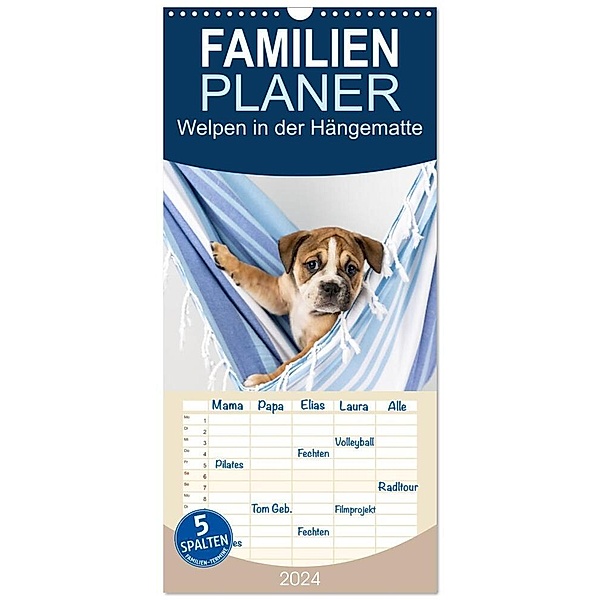 Familienplaner 2024 - Welpen in der Hängematte mit 5 Spalten (Wandkalender, 21 x 45 cm) CALVENDO, Fotodesign Verena Scholze