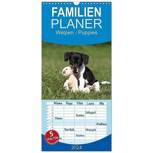 Familienplaner 2024 - Welpen - Puppies mit 5 Spalten (Wandkalender, 21 x 45 cm) CALVENDO, Jeanette Hutfluss