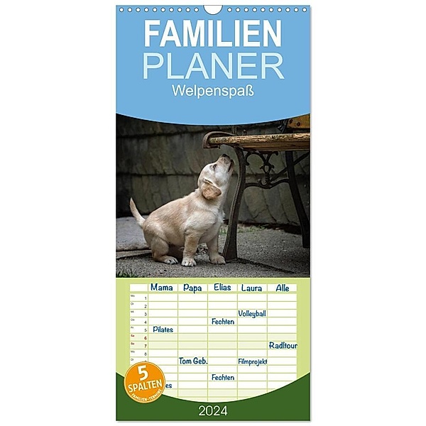 Familienplaner 2024 - Welpenspaß mit 5 Spalten (Wandkalender, 21 x 45 cm) CALVENDO, Claudia Pelzer (Pelzer-Photography)