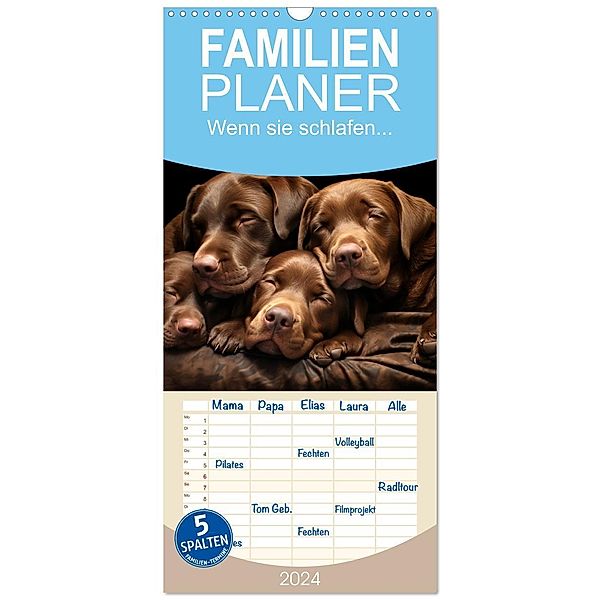 Familienplaner 2024 - Wenn sie schlafen... mit 5 Spalten (Wandkalender, 21 x 45 cm) CALVENDO, Calvendo, Daniela Tapper