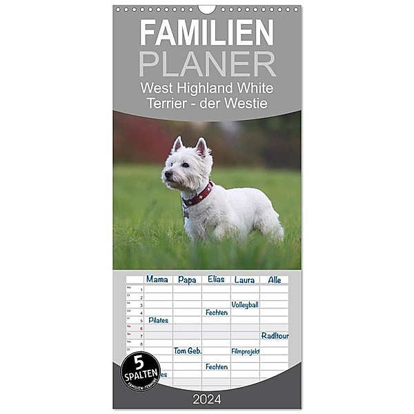 Familienplaner 2024 - West Highland White Terrier - Selbstbewustes Powerpaket - der Westie mit 5 Spalten (Wandkalender, 21 x 45 cm) CALVENDO, Barbara Mielewczyk