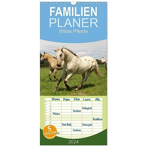 Familienplaner 2024 - Wilde Pferde mit 5 Spalten (Wandkalender, 21 x 45 cm) CALVENDO, Jens Kalanke