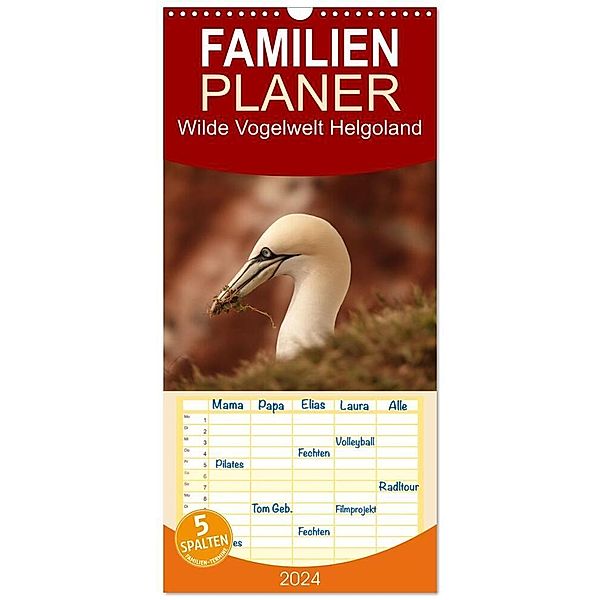 Familienplaner 2024 - Wilde Vogelwelt Helgoland mit 5 Spalten (Wandkalender, 21 x 45 cm) CALVENDO, Angelika Meister