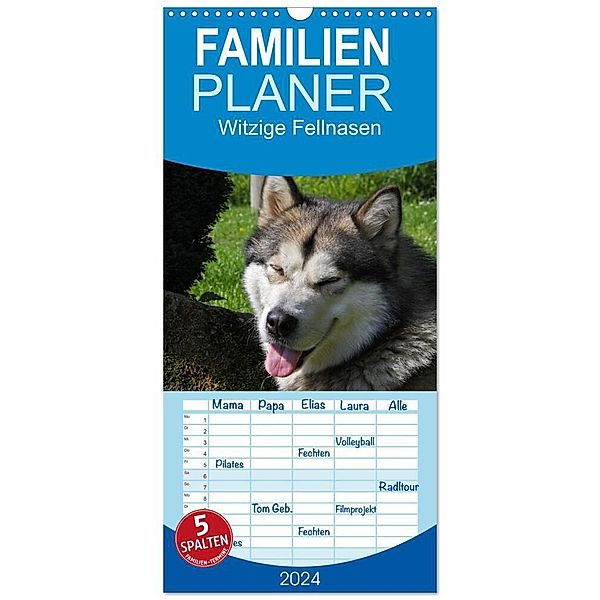 Familienplaner 2024 - Witzige Fellnasen mit 5 Spalten (Wandkalender, 21 x 45 cm) CALVENDO, Silvia Drafz