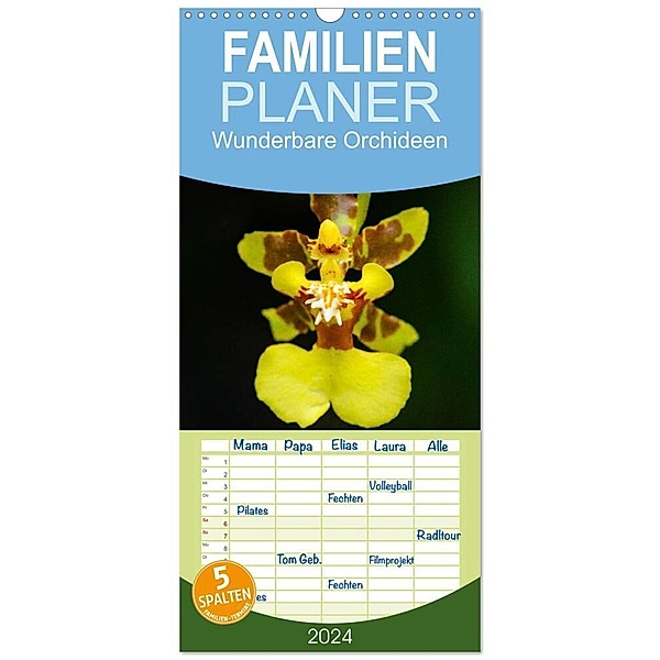 Familienplaner 2024 - Wunderbare Orchideen mit 5 Spalten (Wandkalender, 21 x 45 cm) CALVENDO, Jürgen Wöhlke