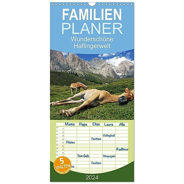 Familienplaner 2024 - Wunderschöne Haflingerwelt mit 5 Spalten (Wandkalender, 21 x 45 cm) CALVENDO, Michael Rucker