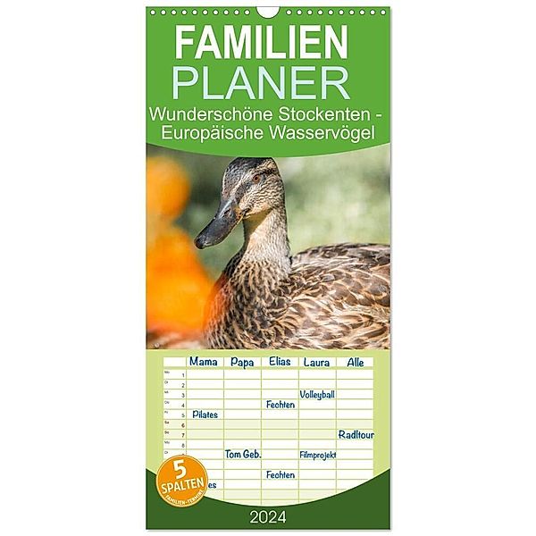 Familienplaner 2024 - Wunderschöne Stockenten - Europäische Wasservögel mit 5 Spalten (Wandkalender, 21 x 45 cm) CALVENDO, pixs:sell